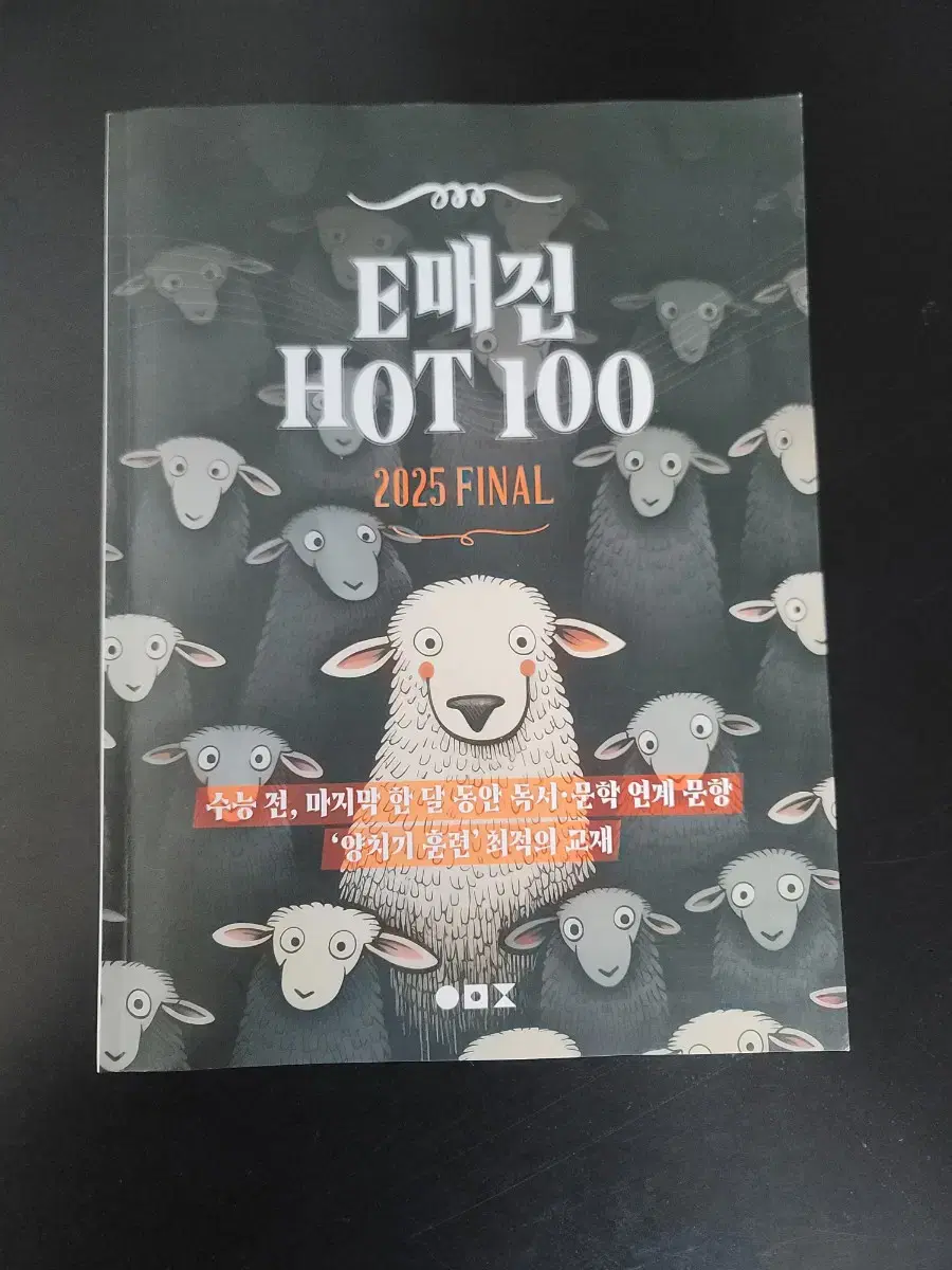 2025 E매진 HOT100 독서,문학